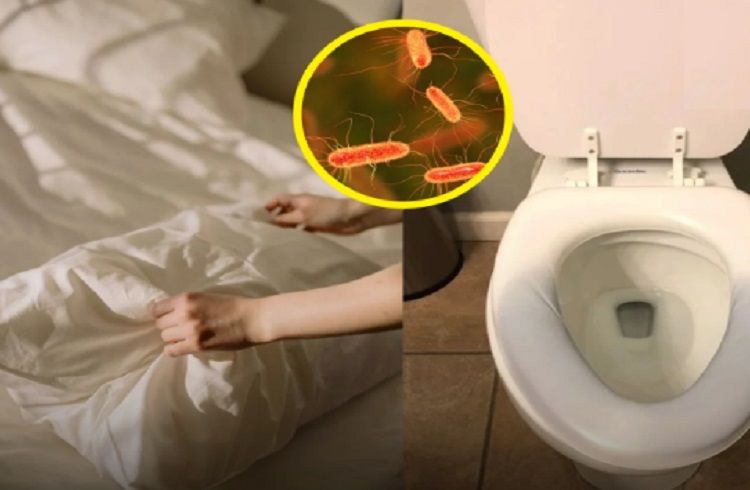 ALERT : ತೊಳೆಯದ `ತಲೆದಿಂಬು’ ಬಳಸುವವರೇ ಎಚ್ಚರ : ಇದರಲ್ಲಿವೆ ಟಾಯ್ಲೆಟ್ ಸೀಟ್ ಗಿಂತ ಡೇಂಜರ್ ಬ್ಯಾಕ್ಟೀರಿಯಾ.!