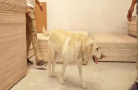 BIG NEWS : ಮೈಸೂರಲ್ಲಿ ಡ್ರಗ್ಸ್ ತಯಾರಿಕೆ ಆರೋಪ : ಶ್ವಾನ ದಳದಿಂದ ಶೋಧ, ಪೊಲೀಸರಿಂದ ತನಿಖೆ ಚುರುಕು!