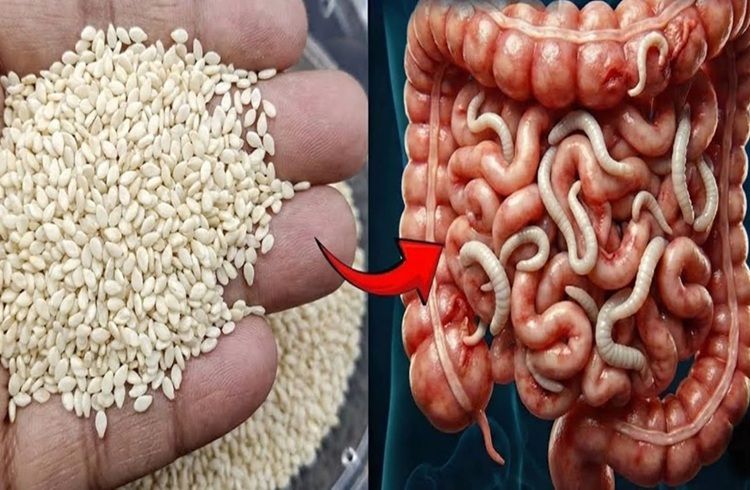 ನೀವು ಇವುಗಳನ್ನು 7 ದಿನಗಳವರೆಗೆ ತಿಂದರೆ, ನಿಮ್ಮ ದೇಹದಲ್ಲಿ ಆಗುವ ಬದಲಾವಣೆಗಳನ್ನು ನಂಬೋದೇ ಇಲ್ಲ