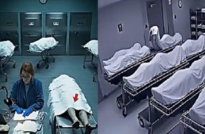 SHOCKING : ಶವಗಾರದಲ್ಲಿ ಇದ್ದಕ್ಕಿದ್ದಂತೆ ಎದ್ದು ಕುಳಿತ `ಡೆಡ್ ಬಾಡಿ’ : ಭಯಾನಕ ವಿಡಿಯೋ ವೈರಲ್ | WATCH VIDEO