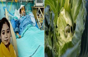 ALERT : ಪೋಷಕರೇ ಎಚ್ಚರ : ಬೀದಿ ಬದಿ ‘ಫಾಸ್ಟ್ ಫುಡ್’ ತಿಂದು ಮೆದುಳು ಸೋಂಕಿನಿಂದ ವಿದ್ಯಾರ್ಥಿನಿ ಸಾವು.!