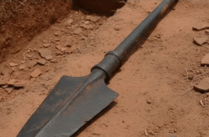 ಭಾರತದ ಅತಿದೊಡ್ಡ ಈಟಿ ಪತ್ತೆ! ತಮಿಳುನಾಡಿನಲ್ಲಿ ಸಿಕ್ಕಿತು 8 ಅಡಿ ಉದ್ದದ ಕಬ್ಬಿಣ ಯುಗದ ಆಯುಧ