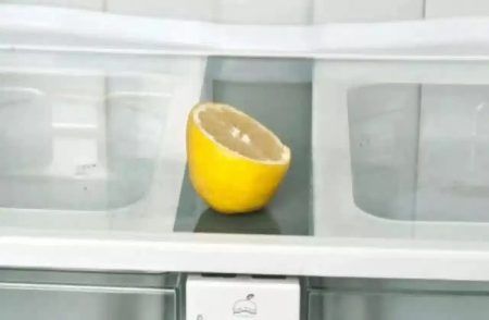 ನಿಂಬೆಹಣ್ಣಿನ ಸಣ್ಣ ಪೀಸ್ ‘ಫ್ರಿಡ್ಜ್’ನಲ್ಲಿಟ್ಟರೆ ಏನಾಗುತ್ತೆ ಗೊತ್ತಾ? ಫಲಿತಾಂಶ ನೋಡಿ ನೀವು ಶಾಕ್ ಆಗ್ತೀರಾ!