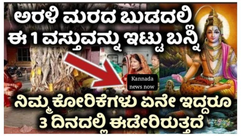 ಅರಳಿ ಮರದ ಬುಡದಲ್ಲಿ ಈ ಒಂದು ವಸ್ತುವನ್ನು ಬಿಟ್ಟು ಬನ್ನಿ ನಿಮ್ಮ ಕೋರಿಕೆಗಳು ಏನೇ ಇದ್ದರೂ ಮೂರು ದಿನದಲ್ಲಿ ಈಡೇರುತ್ತೆ.!