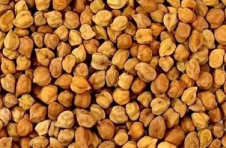 ರೈತರಿಗೆ ಗುಡ್ ನ್ಯೂಸ್ : ಕ್ವಿಂಟಾಲ್ ಗೆ 5,875 ರೂ. ಬೆಂಬಲ ಬೆಲೆಯಡಿ ಕಡಲೆಕಾಳು ಖರೀದಿ