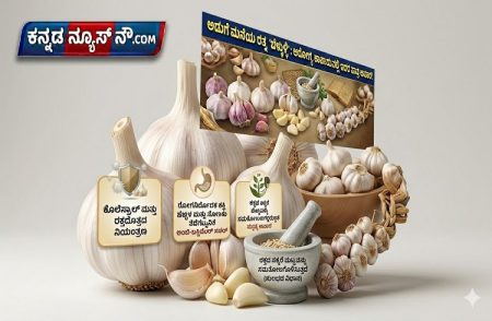 ದಿನಕ್ಕೊಂದು ಎಸಳು ಬೆಳ್ಳುಳ್ಳಿ ಸೇವಿಸಿ, ರೋಗಗಳಿಂದ ದೂರವಿರಿ: ಇಲ್ಲಿದೆ ಸಂಪೂರ್ಣ ಮಾಹಿತಿ
