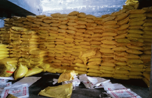 ಮೈಸೂರಲ್ಲಿ ಅಕ್ರಮವಾಗಿ ಸಂಗ್ರಹಿಸಿದ 1256 ಯೂರಿಯಾ ಚೀಲಗಳು ಜಪ್ತಿ : ಪ್ರಕರಣ ದಾಖಲು