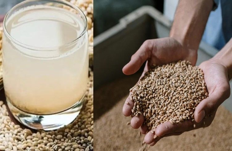 ರೋಗಗಳ ದೂರ ಮಾಡುವ ದಿವ್ಯೌಷಧ.! ಬೇಸಿಗೆಯಲ್ಲಿ ಪ್ರತಿದಿನ ಒಂದು ಲೋಟ ಕುಡಿದ್ರೆ ಈ ಸಮಸ್ಯೆಗಳು ಬರುವುದಿಲ್ಲ