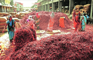 BIG NEWS : ಬ್ಯಾಡಗಿ ಮೆಣಸಿನಕಾಯಿಗೂ ತಟ್ಟಿದ ಯುದ್ಧದ ಬಿಸಿ : 3500 US ಡಾಲರ್ ತಲುಪಿದ ಬಾಡಿಗೆ ಕಂಟೆನರ್ ದರ!