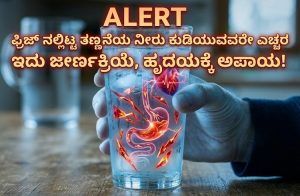 ALERT : ಫ್ರಿಜ್ ನಲ್ಲಿಟ್ಟ ತಣ್ಣನೆಯ ನೀರು ಕುಡಿಯುವವರೇ ಎಚ್ಚರ : ಇದು ಜೀರ್ಣಕ್ರಿಯೆ, ಹೃದಯಕ್ಕೆ ಅಪಾಯ!
