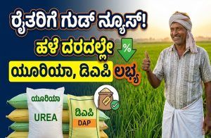 ರೈತರಿಗೆ ನೆಮ್ಮದಿ ಸುದ್ದಿ : ರಸಗೊಬ್ಬರ ಪೂರೈಕೆ ಕೊರತೆಯ ನಡುವೆಯೂ ಹಳೆ ದರದಲ್ಲೇ ಯೂರಿಯಾ, ಡಿಎಪಿ ಲಭ್ಯ