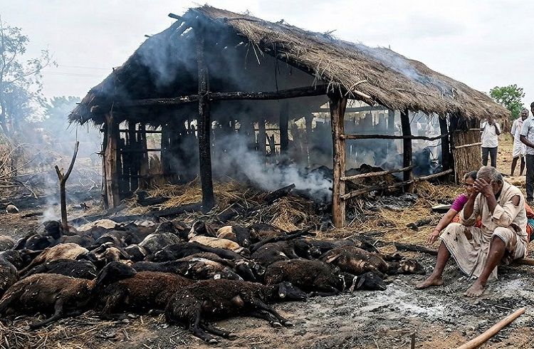 BREAKING : ಹಾವೇರಿಯಲ್ಲಿ ಘೋರ ದುರಂತ : ಕೊಟ್ಟಿಗೆಗೆ ಬೆಂಕಿ ಬಿದ್ದು 30 ಕುರಿಗಳು ಸಜೀವ ದಹನ !