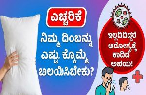 ALERT : ನೀವು ಬಳಸುವ ದಿಂಬನ್ನು ಎಷ್ಟು ದಿನಕ್ಕೊಮ್ಮೆ ಬದಲಾಯಿಸಬೇಕು? ಇಲ್ಲದಿದ್ದರೆ ಆರೋಗ್ಯಕ್ಕೆ ಕಾದಿದೆ ಅಪಾಯ!
