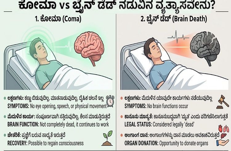 ಕೋಮಾ vs ಬ್ರೈನ್ ಡೆಡ್ ನಡುವಿನ ವ್ಯತ್ಯಾಸವೇನು.? `ದಯಾಮರಣ’ಕ್ಕೆ ಕೋರ್ಟ್ ಅನುಮತಿ ಏಕೆ ಬೇಕು ಗೊತ್ತಾ?