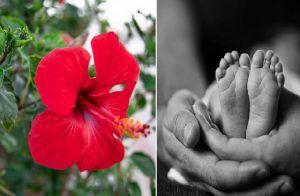 SHOCKING: ರಾಜ್ಯದಲ್ಲೊಂದು ಧಾರುಣ ಘಟನೆ: ಮೈಸೂರಲ್ಲಿ ಒಣಗಿದ ದಾಸವಾಳ ನುಂಗಿ 6 ತಿಂಗಳ ಮಗು ಸಾವು