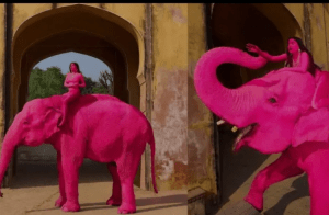 Shocking:ಫೋಟೋಶೂಟ್ಗಾಗಿ ಆನೆಗೆ ಗುಲಾಬಿ ಬಣ್ಣ ಬಳಿದ ವಿದೇಶಿ ಕಲಾವಿದೆ: ಇಂಟರ್ನೆಟ್ನಲ್ಲಿ ತೀವ್ರ ಆಕ್ರೋಶ