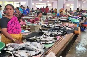 ರಾಜ್ಯದಲ್ಲಿ ಗ್ಯಾಸ್ ಕೊರತೆಯಿಂದ ಹೊಟೇಲ್ಗಳು ಬಂದ್; ಮೀನು ವ್ಯಾಪಾರಕ್ಕೆ ಭಾರೀ ಹೊಡೆತ!