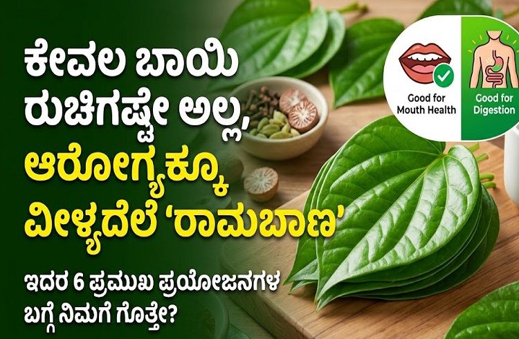 ಮಧುಮೇಹಿಗಳೇ ಗಮನಿಸಿ: ನಿಮ್ಮ ಮನೆಯ ಮುಂದಿನ ಮಾವಿನ ಎಲೆಯೇ ನಿಮ್ಮ ಶುಗರ್ ಕಂಟ್ರೋಲ್ ಮಾಡಬಲ್ಲದು!
