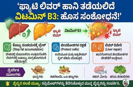 ‘ಲಿವರ್ ಸಮಸ್ಯೆ’ಗೆ ವಿಟಮಿನ್ ಬಿ3 ಸಂಜೀವಿನಿ: ಫ್ಯಾಟಿ ಲಿವರ್ ಹಾನಿ ತಡೆಯಲಿದೆ ಹೊಸ ಸಂಶೋಧನೆ!