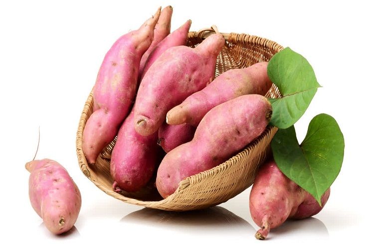 ಪ್ರತಿನಿತ್ಯ ‘ಸಿಹಿ ಗೆಣಸು’ ಸೇವಿಸಿದರೆ ಏನಾಗುತ್ತೆ ಗೊತ್ತೇ? ಆರೋಗ್ಯದ ಗುಟ್ಟು ಬಿಚ್ಚಿಟ್ಟ ತಜ್ಞರು!