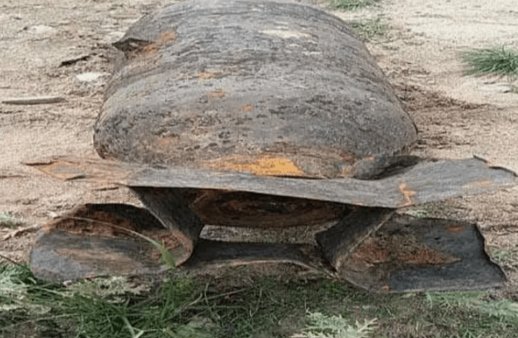 ಜಾರ್ಖಂಡ್ ನದಿತೀರದಲ್ಲಿ ಅಮೆರಿಕ ನಿರ್ಮಿತ ಬಾಂಬ್ ಪತ್ತೆ! ಮರಳು ಗಣಿಗಾರಿಕೆ ವೇಳೆ ಸಿಕ್ಕ ಜೀವಂತ ಸ್ಫೋಟಕದಿಂದ ಆತಂಕ