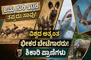 ಒಮ್ಮೆ ಗುರಿ ಇಟ್ಟರೆ ತಪ್ಪದು ಸಾವು! ವಿಶ್ವದ ಅತ್ಯಂತ ಚಾಣಾಕ್ಷ ‘ಶಿಕಾರಿ’ ಪ್ರಾಣಿಗಳಿವು.!