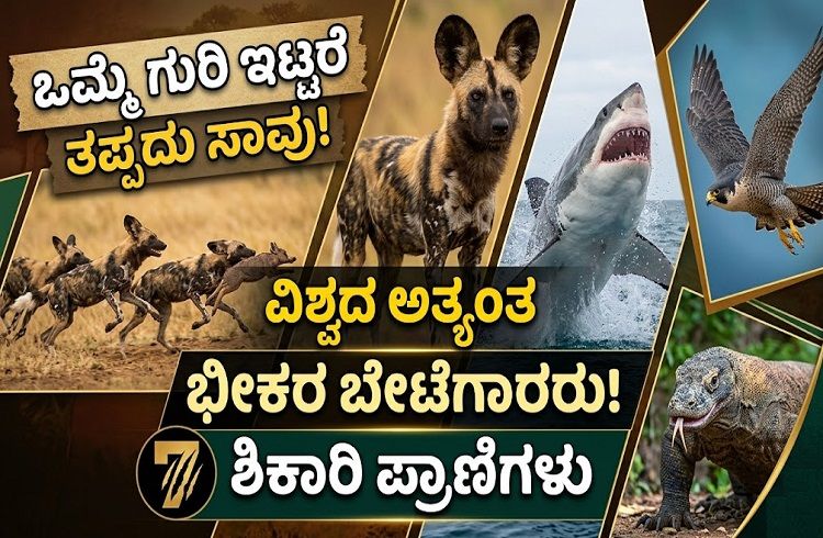 ಒಮ್ಮೆ ಗುರಿ ಇಟ್ಟರೆ ತಪ್ಪದು ಸಾವು! ವಿಶ್ವದ ಅತ್ಯಂತ ಚಾಣಾಕ್ಷ ‘ಶಿಕಾರಿ’ ಪ್ರಾಣಿಗಳಿವು.!