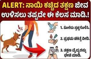 ALERT : ನಾಯಿ ಕಚ್ಚಿದ ತಕ್ಷಣ ಜೀವ ಉಳಿಸಲು ತಪ್ಪದೇ ಈ ಕೆಲಸ ಮಾಡಿ.!
