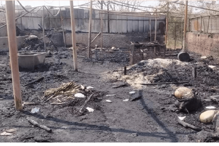 ಬೀದರ್ ನಲ್ಲಿ ಘೋರ ದುರಂತ : ಕೊಟ್ಟಿಗೆಗೆ ಬೆಂಕಿ ಬಿದ್ದು 45 ಆಡುಗಳು ಓರ್ವ ವ್ಯಕ್ತಿ ಸಾವು!