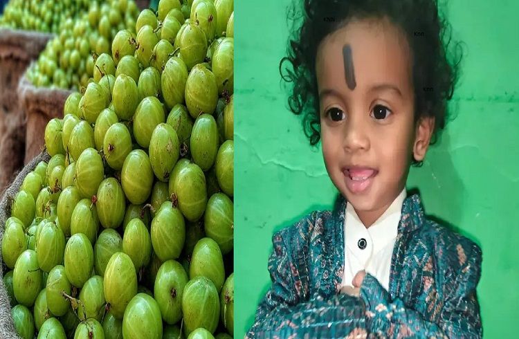 ALERT : ಪೋಷಕರೇ ಎಚ್ಚರ : ಗಂಟಲಿನಲ್ಲಿ ಬೆಟ್ಟದ ನೆಲ್ಲಿಕಾಯಿ ಸಿಲುಕಿ 2 ವರ್ಷದ ಮಗು ಸಾವು.!