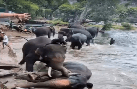 BIG NEWS : ದುಬಾರೆಯಲ್ಲಿ ಆನೆ ಕಾದಾಟದ ವೇಳೆ ಮಹಿಳೆ ಸಾವು : ಅರಣ್ಯ ಸಚಿವ ಈಶ್ವರ ಖಂಡ್ರೆ ಸಂತಾಪ
