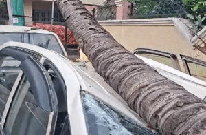 BIG NEWS : ಬೆಂಗಳೂರಲ್ಲಿ ಸುರಿದ ಆಲಿಕಲ್ಲು, ಬಿರುಗಾಳಿ ಸಹಿತ ಭಾರೀ ಮಳೆಗೆ ಅವಾಂತರ ಸೃಷ್ಟಿ : ತತ್ತರಿಸಿದ ಜನತೆ!