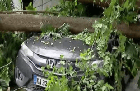 ಬೆಂಗಳೂರಲ್ಲಿ ನಿನ್ನೆ ಸುರಿದ ಭಾರಿ ಮಳೆಗೆ, ಧರೆಗೆ ಉರುಳಿದ ಬೃಹತ್ ಮರ, ಕಾರು ಜಖಂ!