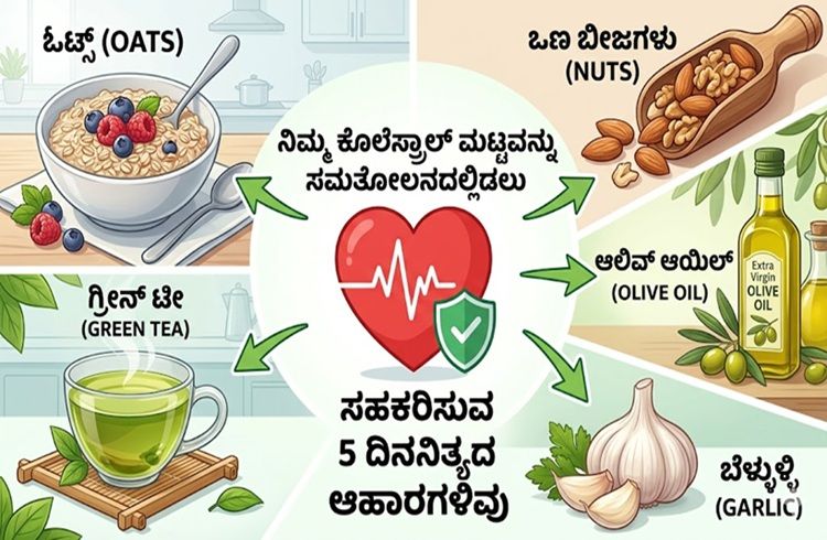 ನಿಮ್ಮ ಕೊಲೆಸ್ಟ್ರಾಲ್ ಮಟ್ಟವನ್ನು ಸಮತೋಲನದಲ್ಲಿಡಲು ಸಹಕರಿಸುವ 5 ದಿನನಿತ್ಯದ ಆಹಾರಗಳಿವು