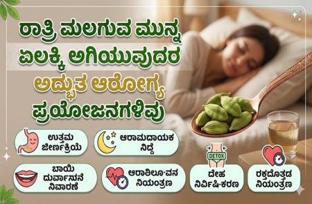 ರಾತ್ರಿ ಮಲಗುವ ಮುನ್ನ ಏಲಕ್ಕಿ ಅಗಿಯುವುದರ ಅದ್ಭುತ ಆರೋಗ್ಯ ಪ್ರಯೋಜನಗಳಿವು