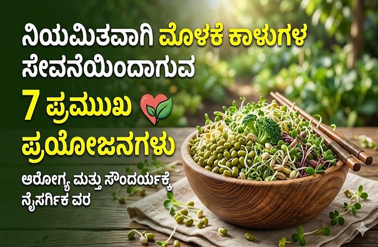 ನೈಸರ್ಗಿಕ ಪೋಷಕಾಂಶಗಳ ಗಣಿ: ಪ್ರತಿದಿನ ಮೊಳಕೆ ಕಾಳುಗಳನ್ನು ತಿನ್ನುವುದರಿಂದಾಗುವ 7 ಲಾಭಗಳು