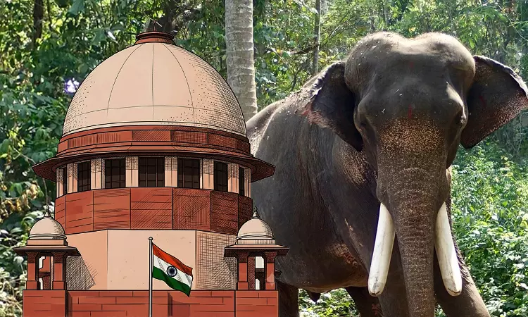 ಮೂಕ ಪ್ರಾಣಿಗಳ ವಿಷಯದಲ್ಲಿ ನಾವು ಮೂಕ ಪ್ರೇಕ್ಷಕರಾಗಲು ಸಾಧ್ಯವಿಲ್ಲ”: ಕೇರಳದ ಅತ್ಯಂತ ಎತ್ತರದ ಆನೆ ‘ರಾಮನ್’ ರಕ್ಷಣೆಗೆ ಸುಪ್ರೀಂ ಕೋರ್ಟ್ ಮಹತ್ವದ ಆದೇಶ