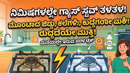 ಗ್ಯಾಸ್ ಸ್ಟವ್ ಜಿಡ್ಡು ಕಲೆ ನಿವಾರಣೆಗೆ ಇಲ್ಲಿದೆ ಸರಳ ಗೃಹೋಪಯೋಗಿ ಮಾರ್ಗ ಗ್ಯಾಸ್ ಸ್ಟವ್ ಮೇಲಿನ ಜಿಡ್ಡು ಕಲೆಗಳನ್ನು ನಿವಾರಿಸಲು ಬೇಕಿಂಗ್ ಸೋಡಾ ಮತ್ತು ವಿನೆಗರ್ ಮಿಶ್ರಣವನ್ನು ಬಳಸುತ್ತಿರುವುದು