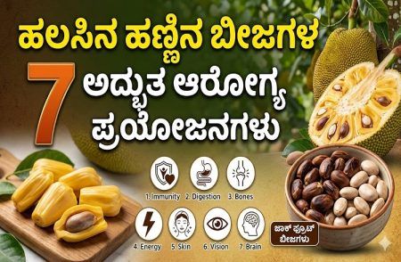 Jackfruit Seeds: ಹಲಸಿನ ಹಣ್ಣು ತಿಂದು ಬೀಜ ಬಿಸಾಡುವ ಮುನ್ನಾ ಈ 7 ಅದ್ಭುತ ಆರೋಗ್ಯಕಾರಿ ಪ್ರಯೋಜನವೇನು ಅಂತ ಓದಿ!