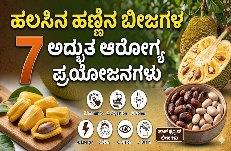 Jackfruit Seeds: ಹಲಸಿನ ಹಣ್ಣು ತಿಂದು ಬೀಜ ಬಿಸಾಡುವ ಮುನ್ನಾ ಈ 7 ಅದ್ಭುತ ಆರೋಗ್ಯಕಾರಿ ಪ್ರಯೋಜನವೇನು ಅಂತ ಓದಿ!