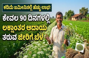 ರೈತರೇ ಗಮನಿಸಿ : ಈ ಬೆಳೆ ಬೆಳೆದರೆ ಕೇವಲ 90 ದಿನಗಳಲ್ಲಿ ಲಕ್ಷಾಂತರ ಆದಾಯ ಗಳಿಸಬಹುದು.!