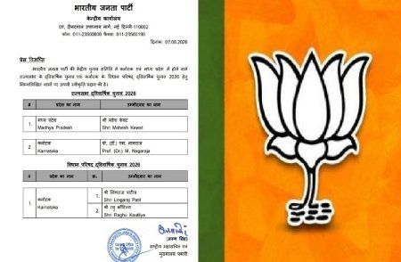 BREAKING : ರಾಜ್ಯಸಭೆ, MLC ಚುನಾವಣೆಗೆ ಬಿಜೆಪಿ ಅಭ್ಯರ್ಥಿಗಳ ಘೋಷಣೆ : ದೇವೇಗೌಡ, ಸುಮಲತಾಗೆ ನಿರಾಸೆ