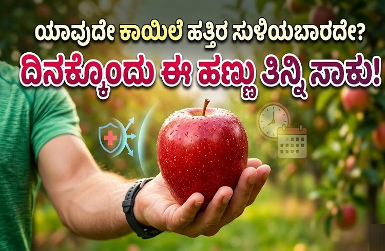 Apple Eating Benefits: ಯಾವುದೇ ಕಾಯಿಲೆ ಹತ್ತಿರ ಸುಳಿಯಬಾರದೇ? ದಿನಕ್ಕೊಂದು ಈ ಹಣ್ಣು ತಿನ್ನಿ ಸಾಕು!