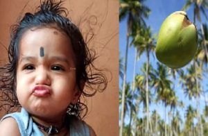 SHOCKING : ಪೋಷಕರೇ ಎಚ್ಚರ : ತಾಯಿಯ ಕಂಕುಳಲ್ಲಿದ್ದ ಒಂದೂವರೆ ವರ್ಷದ ಮಗುವಿನ ಮೇಲೆ ತೆಂಗಿನಕಾಯಿ ಬಿದ್ದು ಸಾವು.!