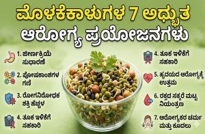 ದಿನನಿತ್ಯ ‘ಮೊಳಕೆಕಾಳು’ಗಳನ್ನು ತಿನ್ನುವುದರಿಂದ ಸಿಗುವ 7 ಅದ್ಭುತ ಆರೋಗ್ಯ ಪ್ರಯೋಜನಗಳಿವು!
